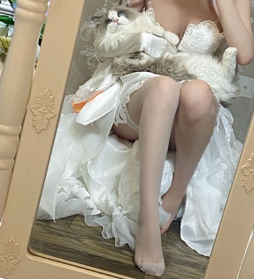 妻子5免费完整高清电视