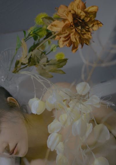 《春闺梦里人》在线观看免费
